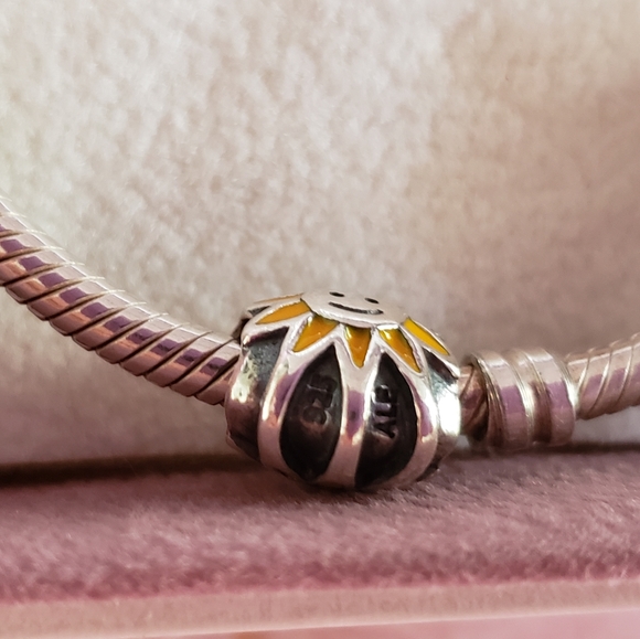 PANDORA Bracelet with Charms - Picture 13 of 16